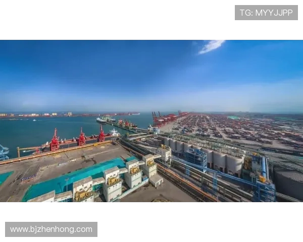 上海海港奋力打造世界一流现代化国际航运枢纽中心